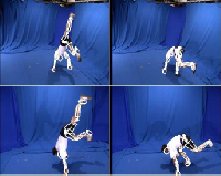 Human Motion Capture from Multiple Views